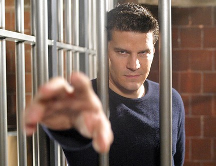 David Boreanaz Fotoğrafları 14