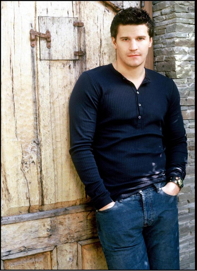 David Boreanaz Fotoğrafları 7