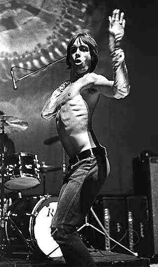 Iggy Pop Fotoğrafları 7