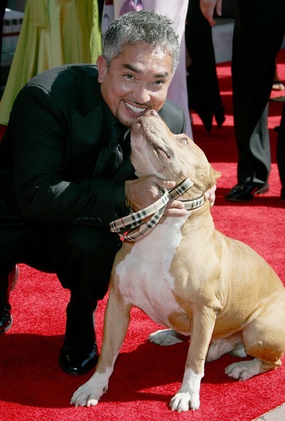 Cesar Millan Fotoğrafı