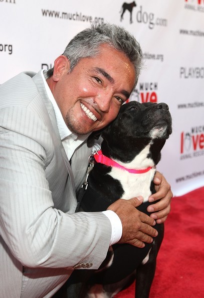 Cesar Millan Fotoğrafları 53