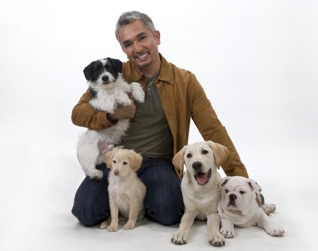 Cesar Millan Fotoğrafları 70