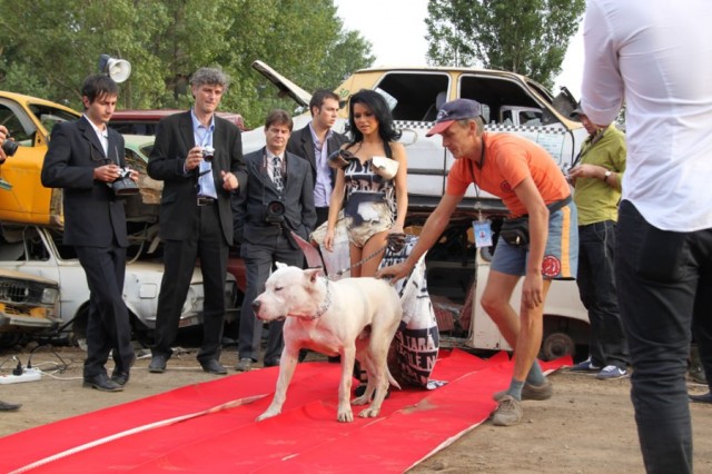 Inna Fotoğrafı
