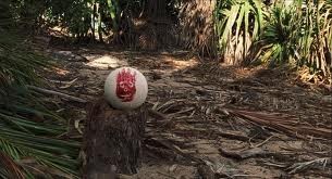 Wilson Fotoğrafı