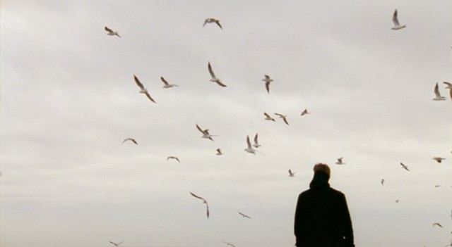 Doves Fotoğrafı