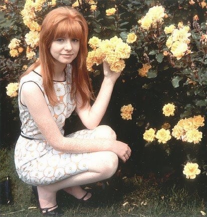 Jane Asher Fotoğrafları 13