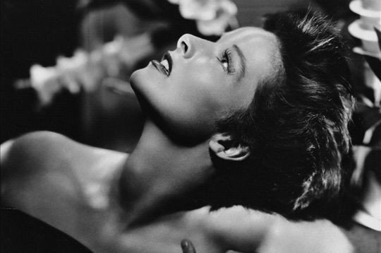 Katharine Hepburn Fotoğrafları 13