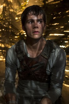 Dylan O'Brien Fotoğrafı