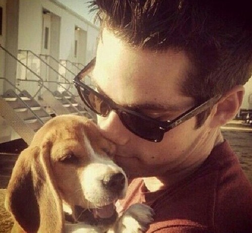 Dylan O'Brien Fotoğrafı