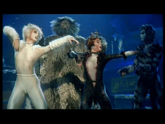 Veerle Casteleyn Fotoğrafı