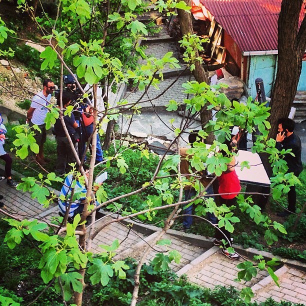 Damla Sönmez Fotoğrafı