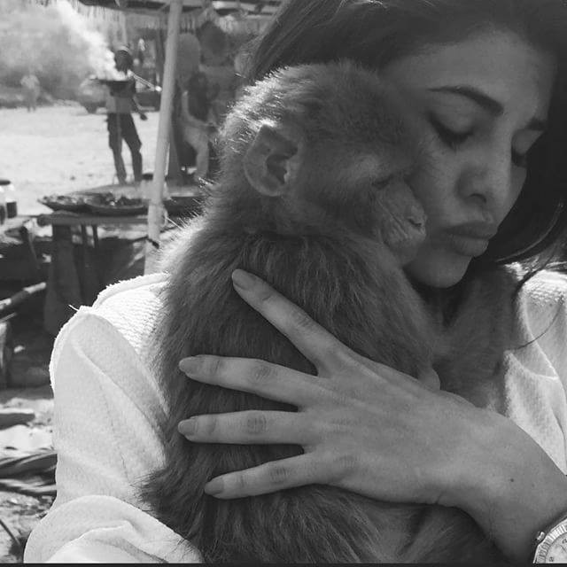 Jacqueline Fernandez Fotoğrafı