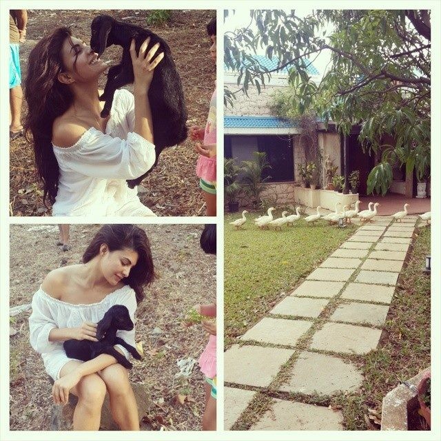 Jacqueline Fernandez Fotoğrafı