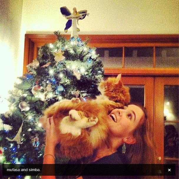 Zoey Deutch Fotoğrafı