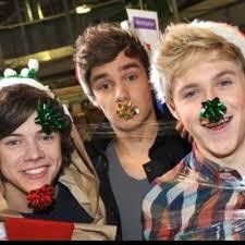 Niall Horan Fotoğrafı