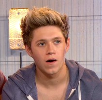 Niall Horan Fotoğrafı