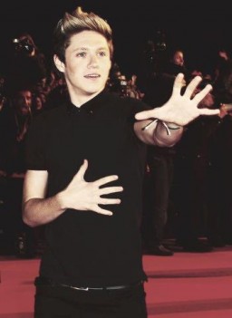 Niall Horan Fotoğrafı