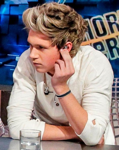 Niall Horan fotoğrafı