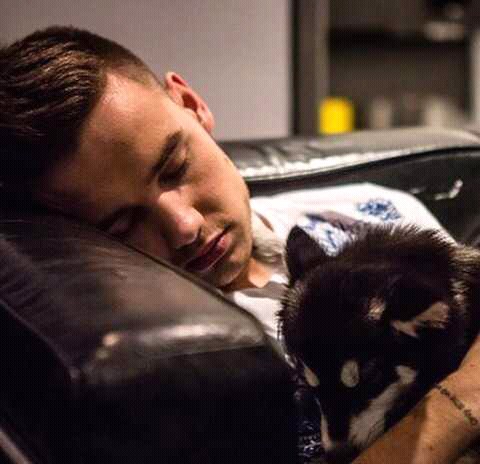 Liam Payne Fotoğrafı