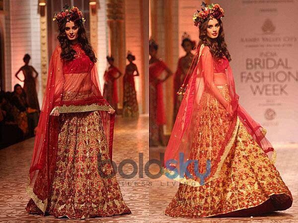 Evelyn Sharma Fotoğrafı