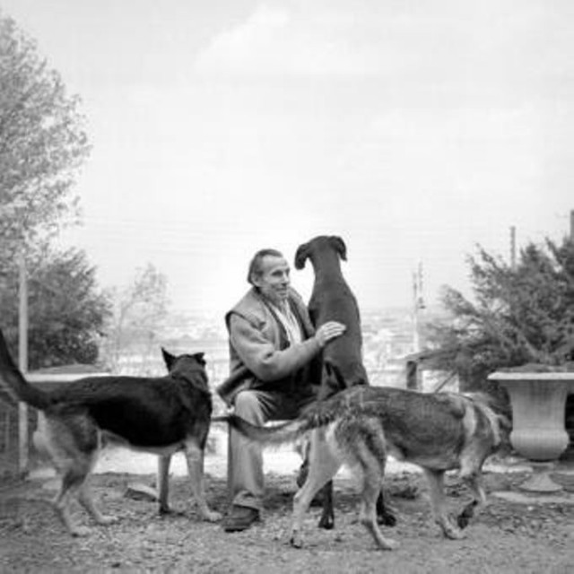 Louis Ferdinand Céline fotoğrafı Louis Ferdinand Céline fotoğrafı