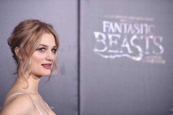 Alison Sudol Fotoğrafı