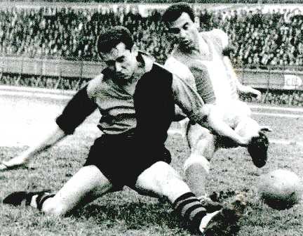 Metin Oktay Fotoğrafı