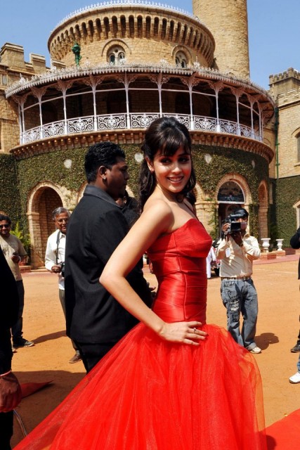 Genelia D'Souza Fotoğrafı