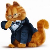 GoGarfi