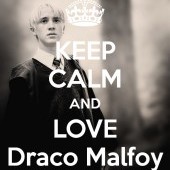 HPMirayDivergent