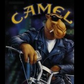 cammbaz35