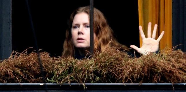 Amy Adams ve Gary Oldman'lı The Woman in the Window'un Fragmanı Yayınlandı 