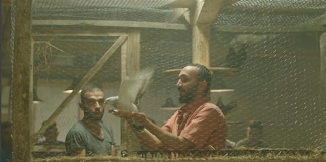 Osman Doğan İlk Filmi Güvercin Hırsızları'yla 24. Saraybosna Film Festivali'nde Yarışacak