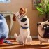 'Evcil Hayvanların Gizli Yaşamı 2' Animasyon Filminden Türkçe Dublajlı Fragman Geldi