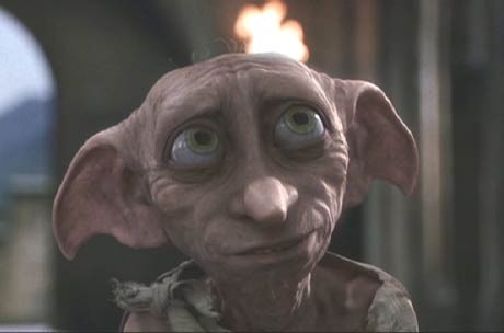 Dobby Fotoğrafları 11