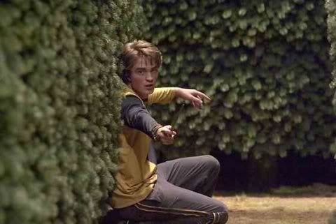 Cedric Diggory Fotoğrafları 8