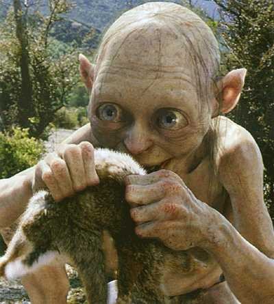 Gollum Fotoğrafları 4