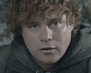 Samwise 