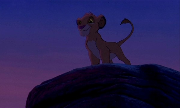 Simba fotoğrafı
