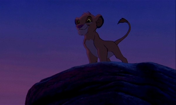 Young Simba Fotoğrafları 7