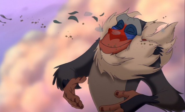 Rafiki Fotoğrafları 2