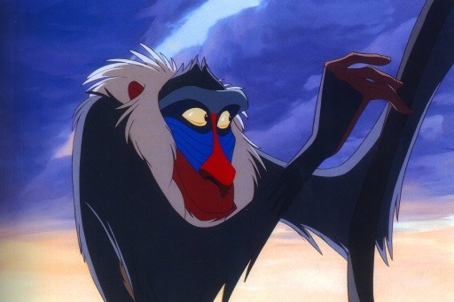 Rafiki fotoğrafı