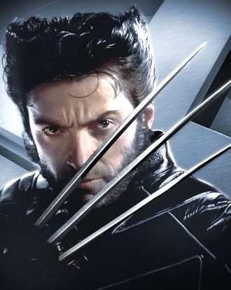 Wolverine fotoğrafı