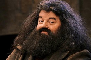 Rubeus Hagrid Fotoğrafları 5