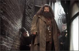 Rubeus Hagrid Fotoğrafları 6