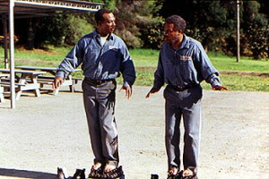 Müebbet Kuşları fotoğrafı