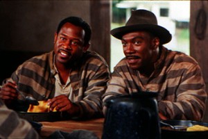 Müebbet Kuşları fotoğrafı