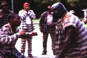 Müebbet Kuşları fotoğrafı