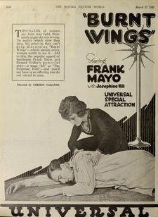 Burnt Wings (1920) afişi