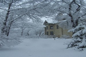 Kış Rüyası Fotoğrafı